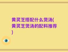 黄灵芝搭配什么煲汤(黄灵芝煲汤的配料推荐)