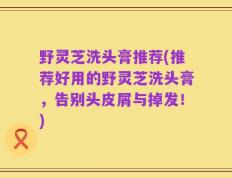 野灵芝洗头膏推荐(推荐好用的野灵芝洗头膏，告别头皮屑与掉发！)