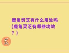 鹿角灵芝有什么用处吗(鹿角灵芝有哪些功效？)