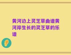 黄河边上灵芝草曲谱黄河岸生长的灵芝草的乐谱
