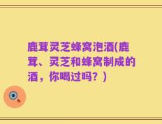 鹿茸灵芝蜂窝泡酒(鹿茸、灵芝和蜂窝制成的酒，你喝过吗？)