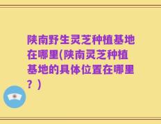 陕南野生灵芝种植基地在哪里(陕南灵芝种植基地的具体位置在哪里？)