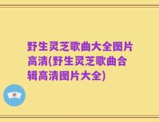 野生灵芝歌曲大全图片高清(野生灵芝歌曲合辑高清图片大全)