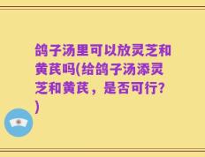 鸽子汤里可以放灵芝和黄芪吗(给鸽子汤添灵芝和黄芪，是否可行？)