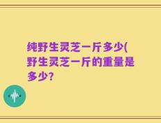 纯野生灵芝一斤多少(野生灵芝一斤的重量是多少？