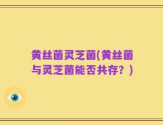 黄丝菌灵芝菌(黄丝菌与灵芝菌能否共存？)