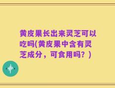 黄皮果长出来灵芝可以吃吗(黄皮果中含有灵芝成分，可食用吗？)