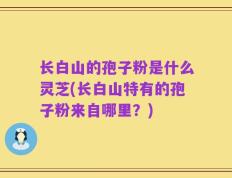长白山的孢子粉是什么灵芝(长白山特有的孢子粉来自哪里？)