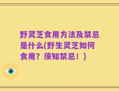 野灵芝食用方法及禁忌是什么(野生灵芝如何食用？须知禁忌！)