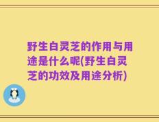 野生白灵芝的作用与用途是什么呢(野生白灵芝的功效及用途分析)