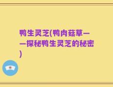 鸭生灵芝(鸭肉菇草——探秘鸭生灵芝的秘密)