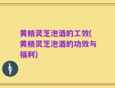 黄精灵芝泡酒的工效(黄精灵芝泡酒的功效与福利)