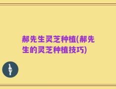 郝先生灵芝种植(郝先生的灵芝种植技巧)