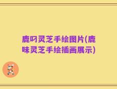 鹿叼灵芝手绘图片(鹿味灵芝手绘插画展示)