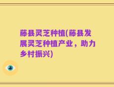 藤县灵芝种植(藤县发展灵芝种植产业，助力乡村振兴)