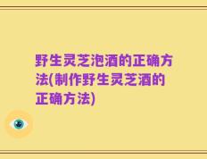 野生灵芝泡酒的正确方法(制作野生灵芝酒的正确方法)