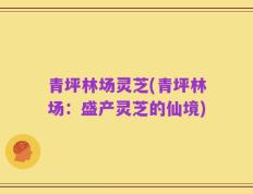 青坪林场灵芝(青坪林场：盛产灵芝的仙境)
