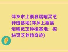 萍乡市上栗县熠曜灵芝种植基地(萍乡上栗县熠曜灵芝种植基地：探秘灵芝养殖奇迹)