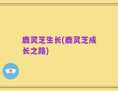 鹿灵芝生长(鹿灵芝成长之路)