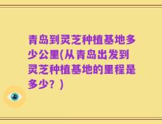 青岛到灵芝种植基地多少公里(从青岛出发到灵芝种植基地的里程是多少？)