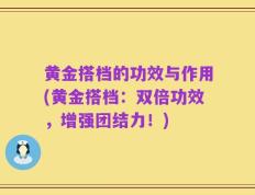 黄金搭档的功效与作用(黄金搭档：双倍功效，增强团结力！)