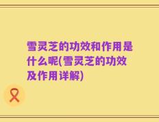雪灵芝的功效和作用是什么呢(雪灵芝的功效及作用详解)
