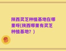 陕西灵芝种植基地在哪里呀(陕西哪里有灵芝种植基地？)