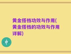黄金搭档功效与作用(黄金搭档的功效与作用详解)