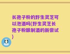 长孢子粉的野生灵芝可以泡酒吗(野生灵芝长孢子粉酿制酒的新尝试)