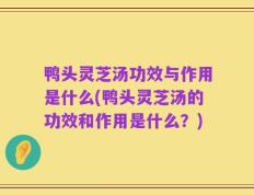 鸭头灵芝汤功效与作用是什么(鸭头灵芝汤的功效和作用是什么？)