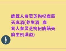 鹿茸人参灵芝枸杞鹿筋天麻酒(养生酒  鹿茸人参灵芝枸杞鹿筋天麻生机满溢)