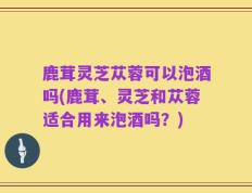 鹿茸灵芝苁蓉可以泡酒吗(鹿茸、灵芝和苁蓉适合用来泡酒吗？)