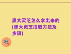黑大灵芝怎么拿出来的(黑大灵芝提取方法及步骤)