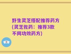 野生灵芝搭配推荐药方(灵芝佐药：推荐3款不同功效药方)