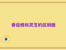 香菇根和灵芝的区别图