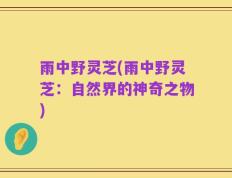 雨中野灵芝(雨中野灵芝：自然界的神奇之物)