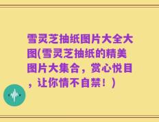 雪灵芝抽纸图片大全大图(雪灵芝抽纸的精美图片大集合，赏心悦目，让你情不自禁！)