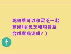 鸡骨草可以和灵芝一起煮汤吗(灵芝和鸡骨草合适煮成汤吗？)