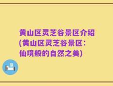 黄山区灵芝谷景区介绍(黄山区灵芝谷景区：仙境般的自然之美)