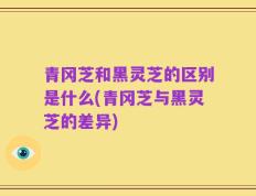 青冈芝和黑灵芝的区别是什么(青冈芝与黑灵芝的差异)