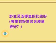 野生灵芝哪里的比较好(哪里有野生灵芝质量更好？)