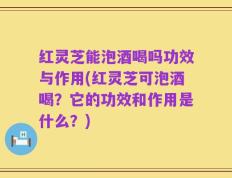 红灵芝能泡酒喝吗功效与作用(红灵芝可泡酒喝？它的功效和作用是什么？)