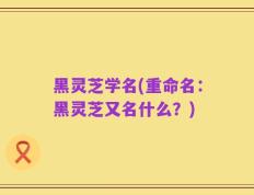 黑灵芝学名(重命名：黑灵芝又名什么？)