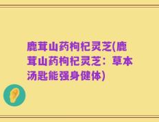 鹿茸山药枸杞灵芝(鹿茸山药枸杞灵芝：草本汤匙能强身健体)