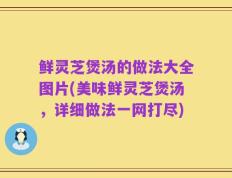 鲜灵芝煲汤的做法大全图片(美味鲜灵芝煲汤，详细做法一网打尽)