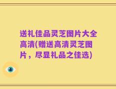 送礼佳品灵芝图片大全高清(赠送高清灵芝图片，尽显礼品之佳选)
