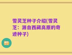 雪灵芝种子介绍(雪灵芝：源自西藏高原的奇迹种子)