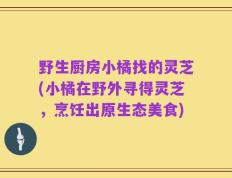 野生厨房小橘找的灵芝(小橘在野外寻得灵芝，烹饪出原生态美食)