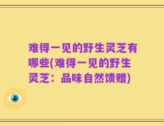 难得一见的野生灵芝有哪些(难得一见的野生灵芝：品味自然馈赠)