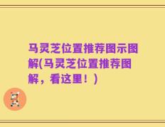 马灵芝位置推荐图示图解(马灵芝位置推荐图解，看这里！)